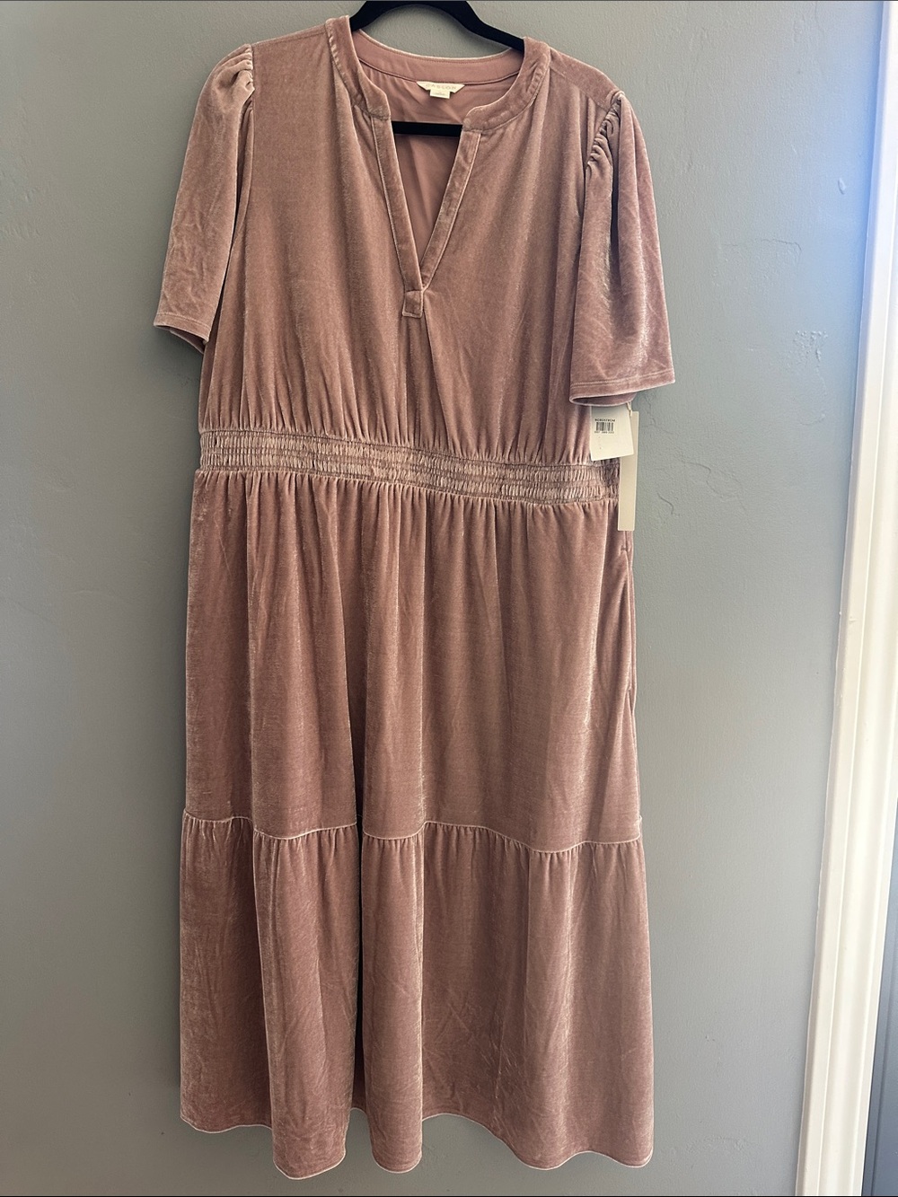 Caslon Pink Timber Velvet Dress